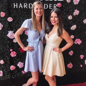 Lulus Blue and White Striped Tie-Front Dress